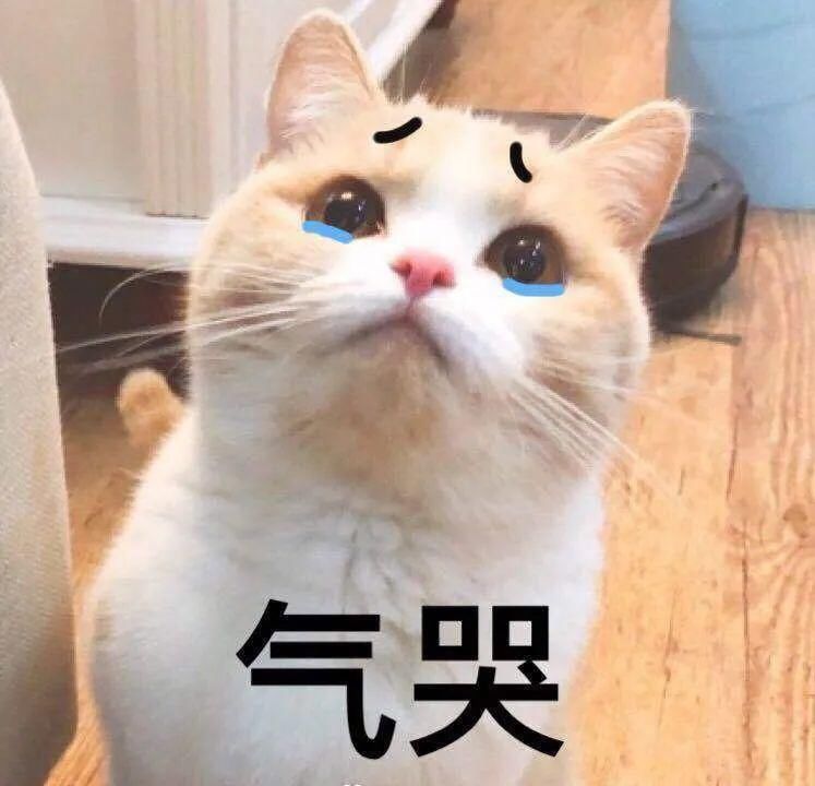  团伙|织金：一团伙租车盗窃工地财物 被依法刑拘