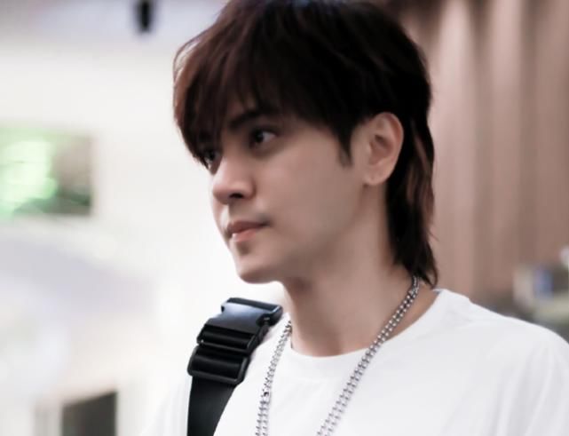  才华|歌手不唱歌、演员没作品的代表，全靠“综艺”撑热度的明星都有谁