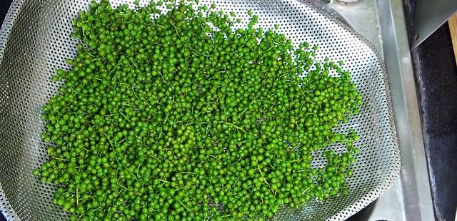  添加|1斤青花椒2斤菜籽油，教你自制花椒油，无添加，比买的还香