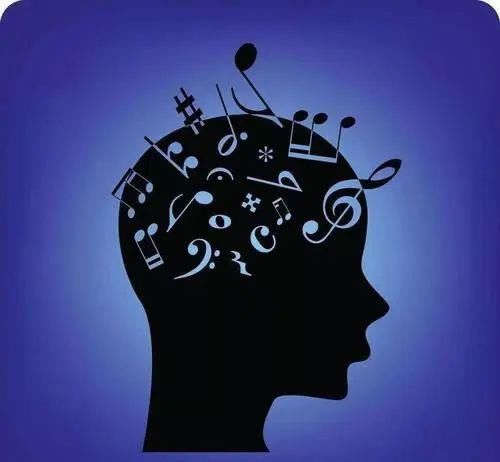  能量|大脑究竟是如何工作的？大脑喜欢什么？讨厌什么？