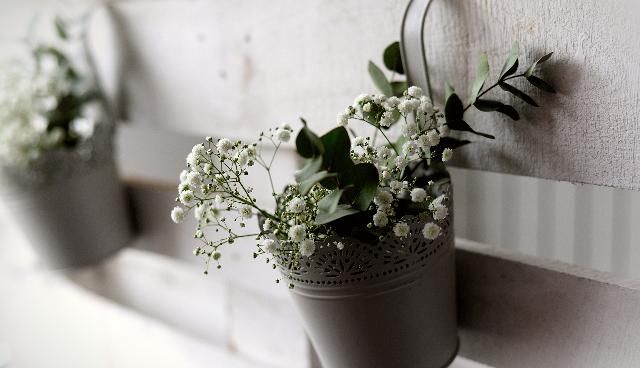  运势|本周运势不错，离成功越来越近，会收获幸福的三大生肖