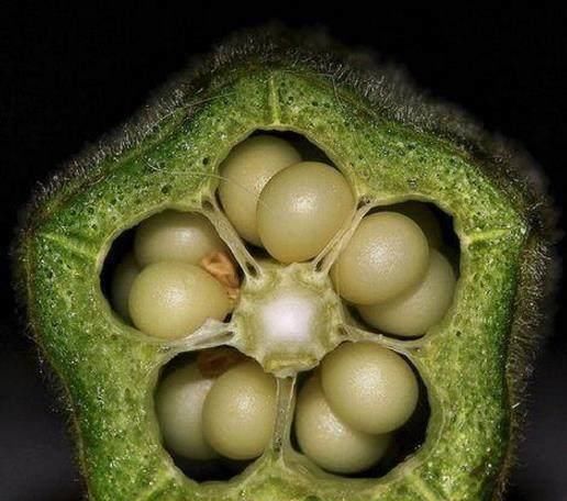  不升反降|糖尿病“克星”，天然“二甲双胍”，水里加一把，血糖不升反降