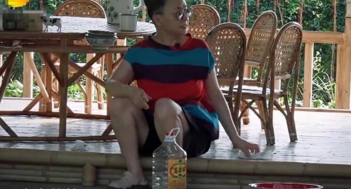 酿造|《向往4》后再无下一季宋丹丹酿造菠萝酒,何炅不慎说漏嘴了