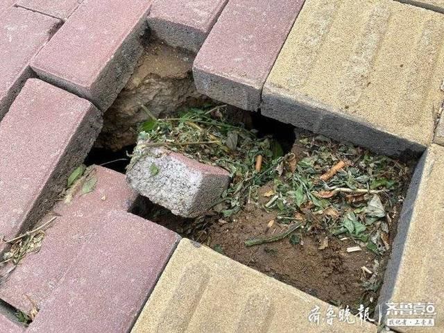  齐鲁晚报|泰安：人行道出现窟窿洞，路面塌陷存在安全隐患