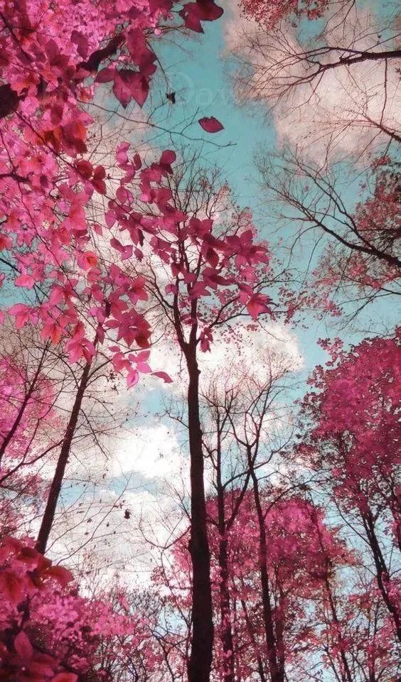 难得一见|奇妙风光，难得一见