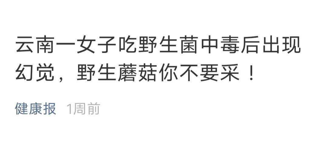  野生|吃货小心！野生菌可不要乱吃哦！