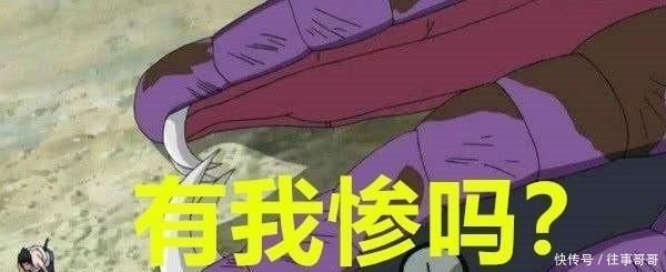 太惨|最惨的几只通灵兽,忍龟被当脚踏板,通信蛤蟆被杀,它:有我惨吗