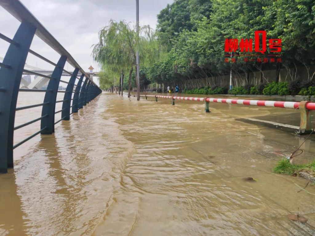  洪水|柳州这些县份遭遇洪水，滴滴打船出动！河水漫上金沙角亲水平台……