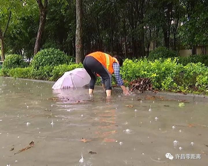 清扫|暴雨突袭！排水、清扫……他们在行动！