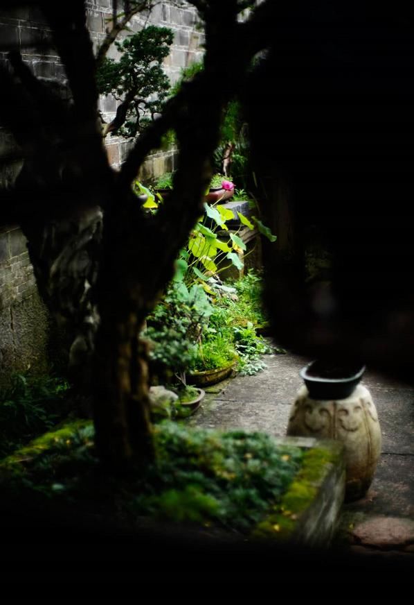  精辟|做人，可以没才， 但千万别没品（精辟）