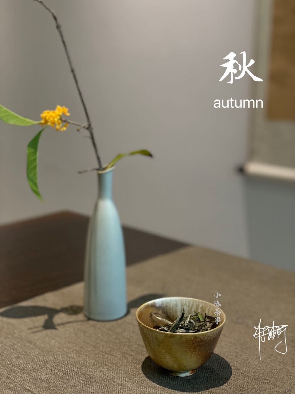 萝卜|陈皮白茶，荷叶白茶，菊花白茶，秋季喝茶润燥要不要加点“料”？