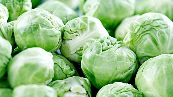  大树|像大树一样的蔬菜，欧洲深受喜爱，国人却难以接受，营养价值极高