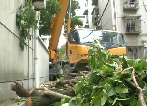  受伤|吊车的升降台意外坠楼，三名工人受伤被送往医院