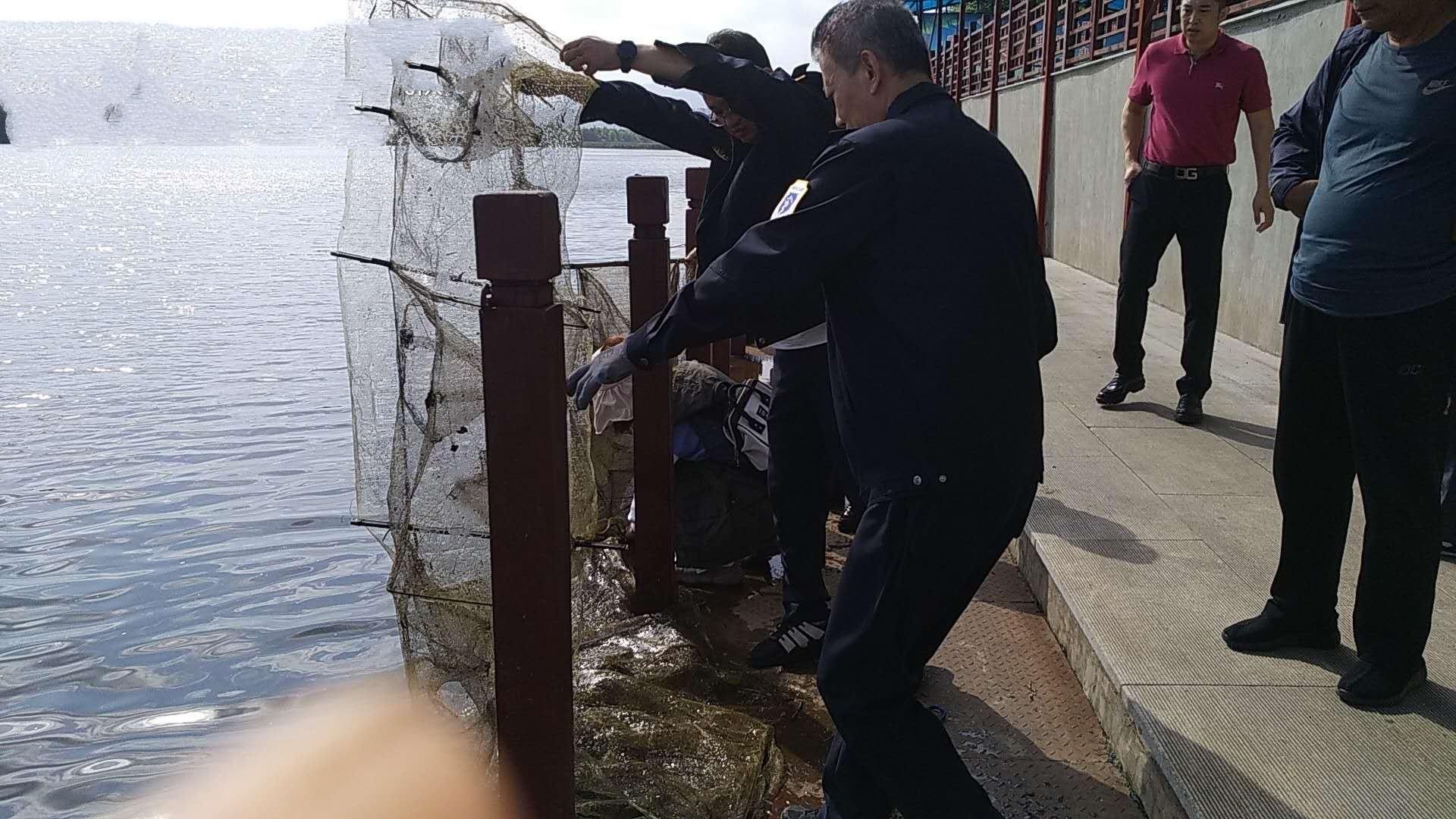 捕鱼|百米河面 竟藏着十余个非法捕鱼笼