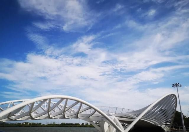  网红|【探索】滴水湖4座“网红”景观桥亮灯啦！快来先睹为快