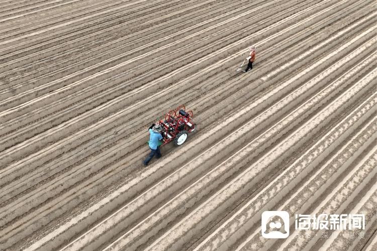 视觉山东丨大众视觉影像库一周图片精选（7月31日-8月6日）