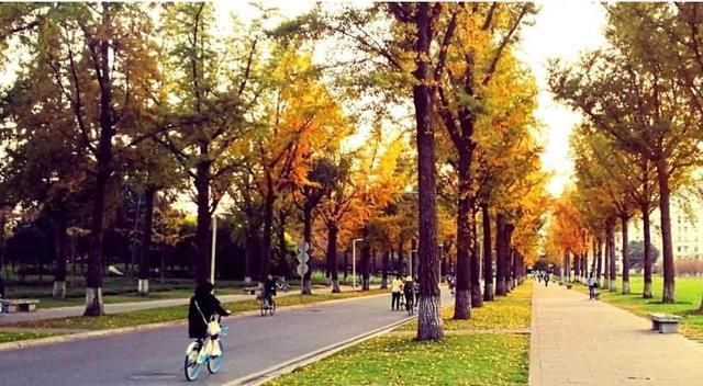  标准|大学生奢侈生活费标准，你知道吗？家长：感叹不已