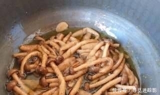  酸爽可口|我怎么能吃油浸蟹味菇拌烤茄子