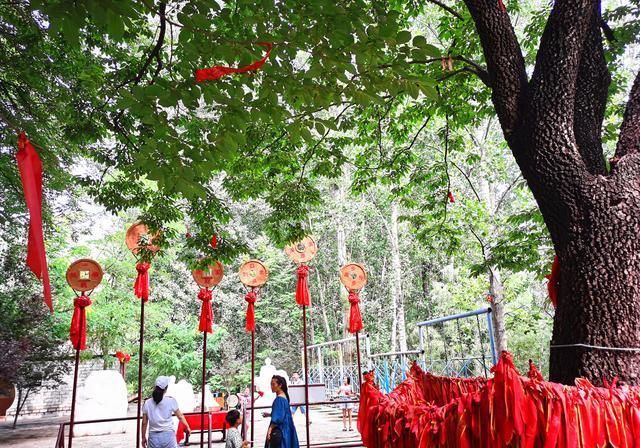  好玩儿|曲阳虎山旅游攻略：避暑遛娃好去处，这座“金山”挺好玩儿