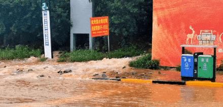 道路积水|山东多地暴雨！潍坊昨晚这里下的最大