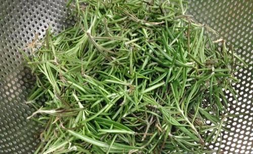 三大|风味大不同?认识三大香菜:芫荽、鸭儿芹、香芹