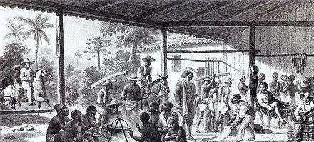 美国黑人|那些受尽欺负的美国黑人,早就跑回非洲建国了