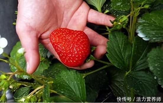 你以为的高甜水果其实含糖很低(要当心了：你认为的这4种“高甜水果”，实际上含糖量都很低)
