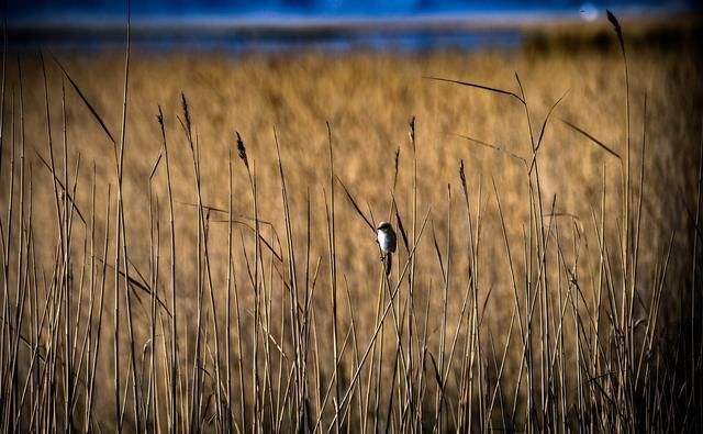  湖水|大柴旦：五彩谷天地雄奇之峻，翡翠湖水云婉约之华，柴达木探秘4