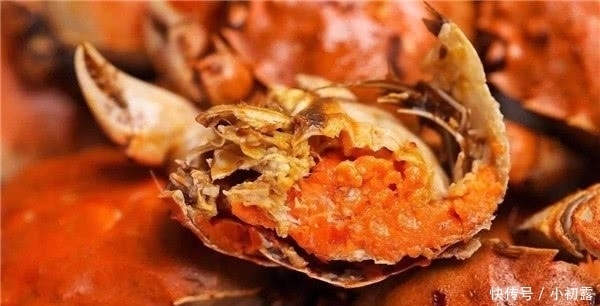 北方人|南方5大硬菜,别说我们没有硬菜,只是不想和北方的硬菜比