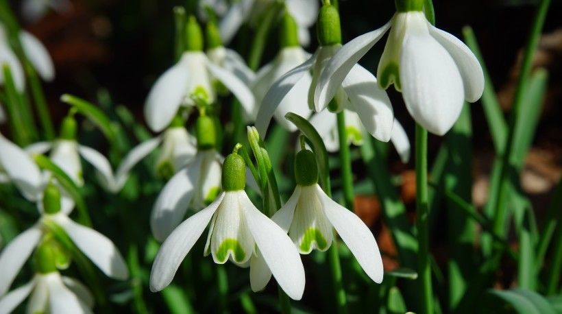 发大财|8月开始好运相伴,财富大利,闷声发大财的四大生肖