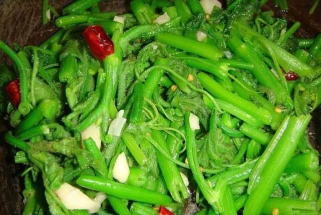  小蛮|立秋后，碰到它必买10斤，是菜是药，湿气消失了，帮你瘦出小蛮腰