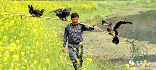  入选|仪陇！入选四川第二批天府旅游名县命名县！还有......