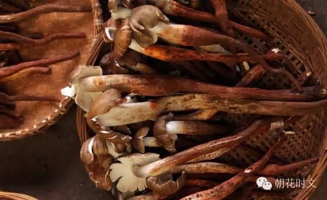  美食|这是一份来自汪曾祺的美食指南