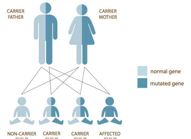  吴女士|一针70万元, 每4个月一针: 那些等针救命的SMA罕见病患儿
