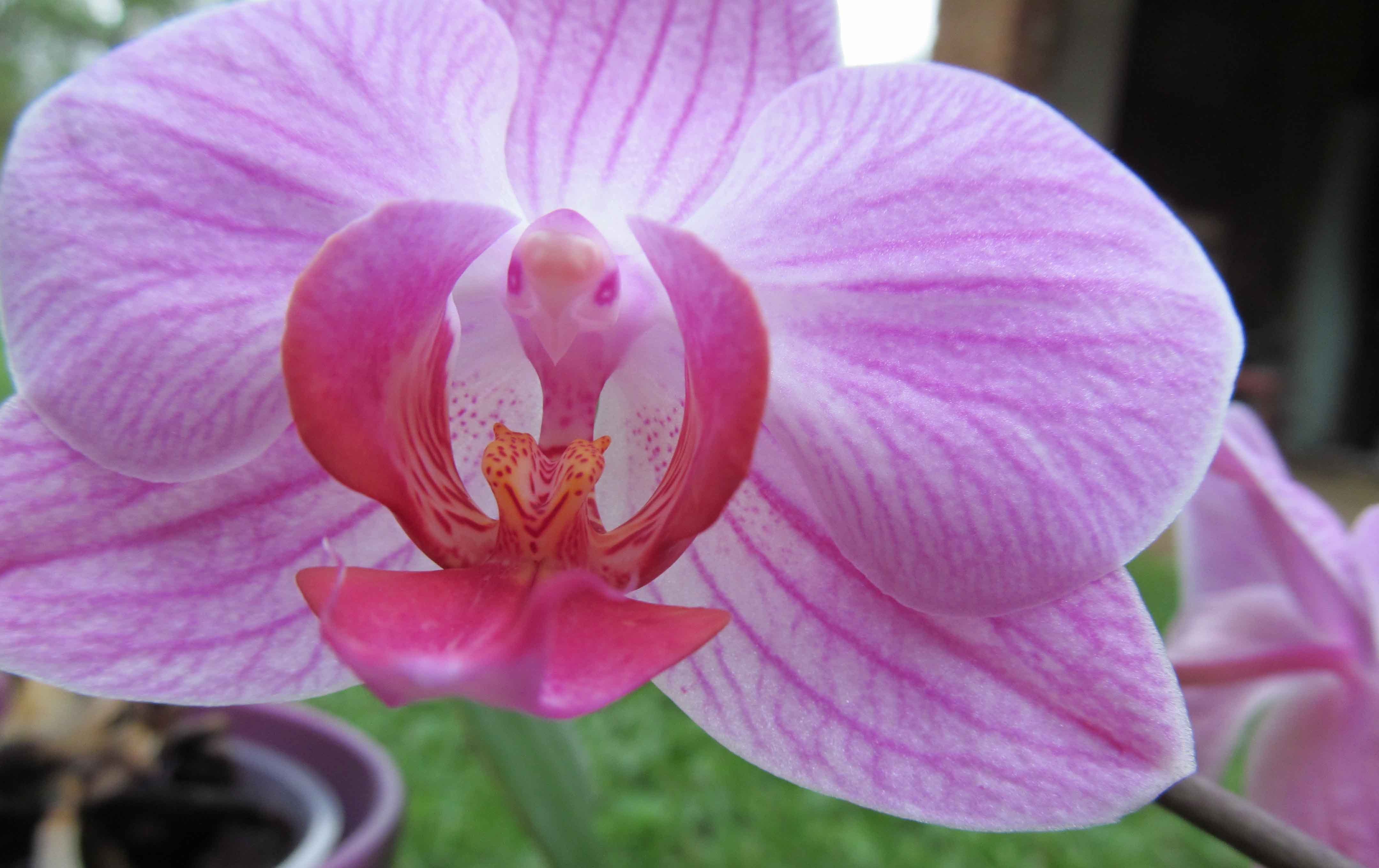  破镜重圆|8月，旧爱难忘，余情未了，姻缘不散，和旧爱破镜重圆的四大星座