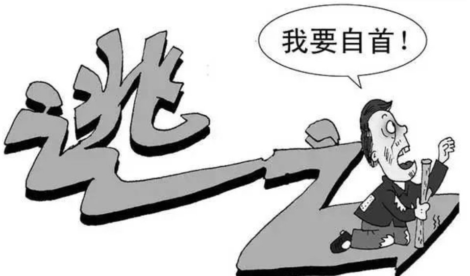  公安|经侦大队成功劝投一名网上逃犯