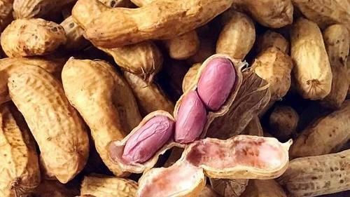  好吃|做水煮花生，花生不要直接煮，大厨教你这样做，入味快，味道香