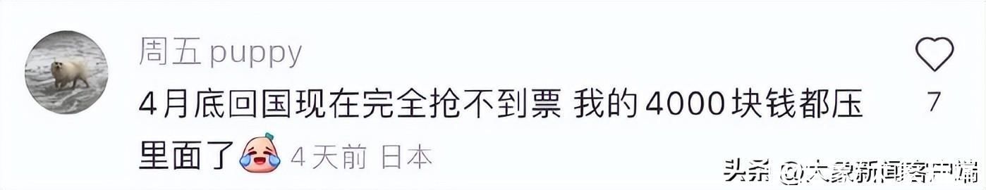 开售→秒没→候补，五一你抢到票了吗？反正象象的现金流都在12306了