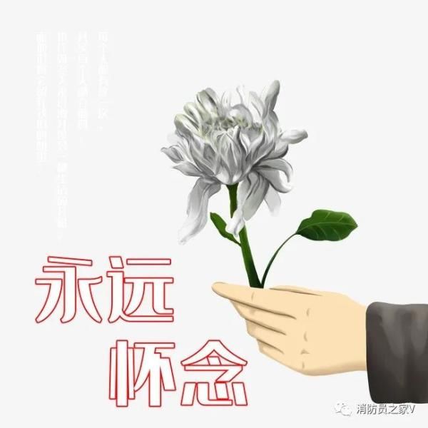  名失|痛心！2名失联消防员确认遇难，一路走好！
