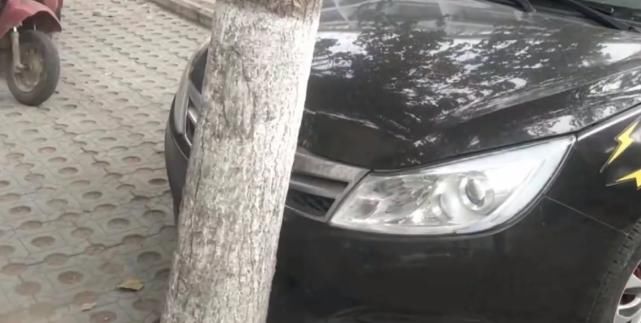  监控|车子好好停车位，第二天却莫名撞树上，看完监控：这是喝了多少？