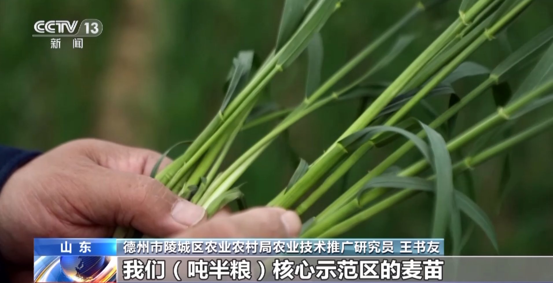 春耕一线观察丨首次写入中央一号文件的“吨粮田”如何建? 一文解读