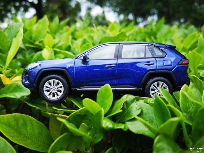 拍摄|拥有威兰达车模,绽放花丛中,说说感受