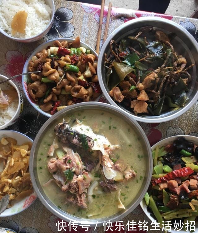 特意|公婆忙完庄稼又要去打工,我特意做了一桌菜送行,饭后吃的都想哭