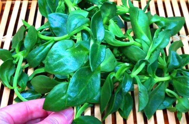  满满|三伏天，吃苦瓜不如吃它，隔三差五吃，天再热也精神满满