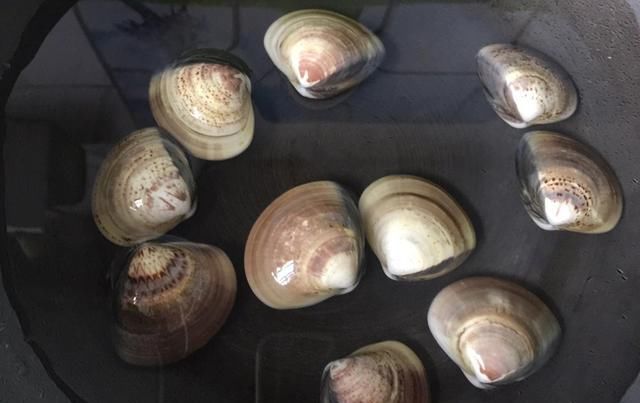  鲜汤|鸡蛋羹不够味？再加1种食材，鲜上加鲜，完美搭档更补钙