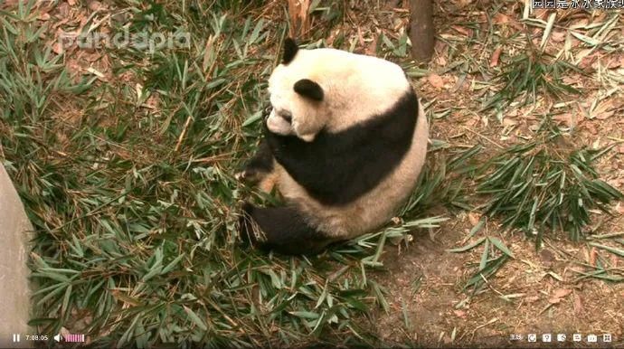 故事|出彩“滚滚” | 你有你的“三十而已”,我们的三十又是另一个故事~