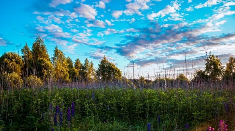  放手一搏|下个月，爱情甜蜜，沉淀旧爱，放手一搏，相守到白头的4大星座