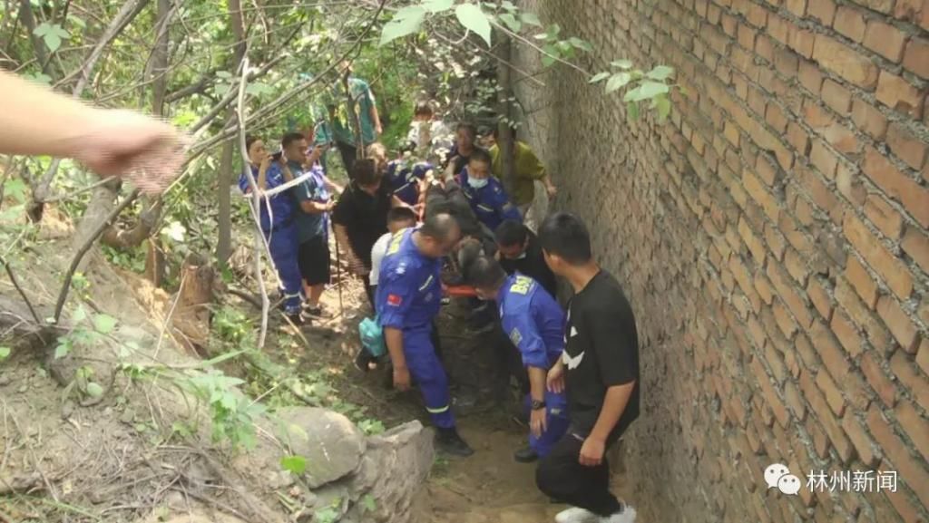  寻找|点赞！生死搜救 老人失踪7天后找到了