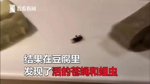  火锅|小龙坎制售2吨地沟油：地沟油卷土重来？不，它从未离开