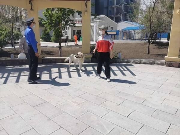 饲养|@白城养犬人士,文明养犬应该这样做